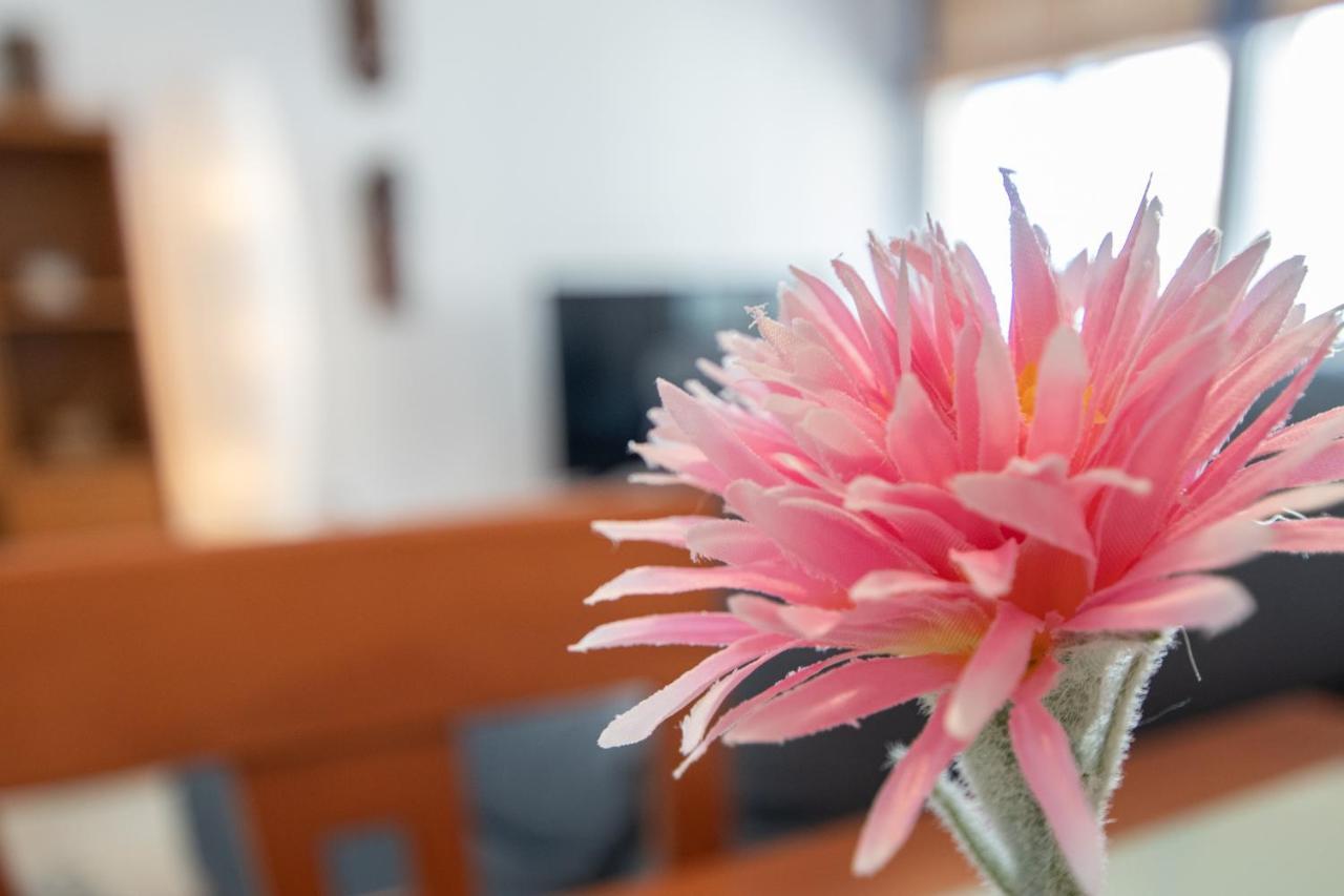Apartamento Tribalia كاديز المظهر الخارجي الصورة